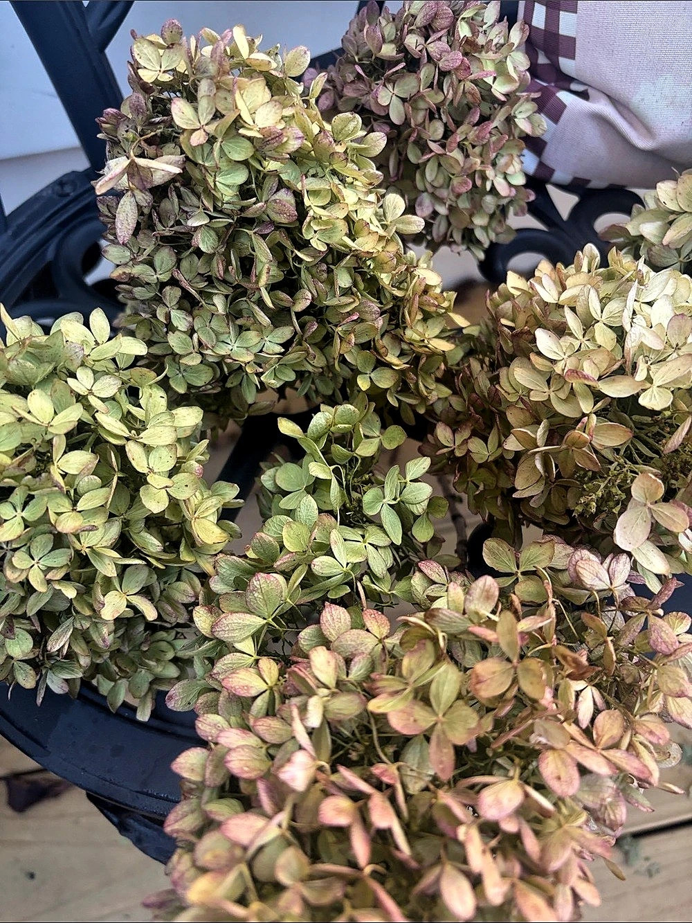 Dried Floral hydrangea